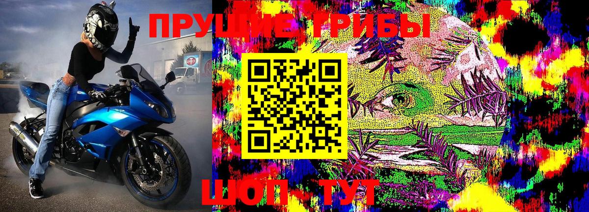 Галлюциногенные грибы MAGIC MUSHROOMS  Галлюциногенные грибы ЛСД  Вход с VPN  Благовещенск 